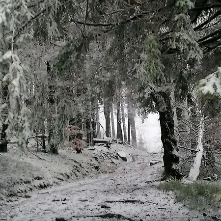 Kota Finlandais Dans La Vallee De La Bruche Proche De La Nature. Plaine Exterior photo