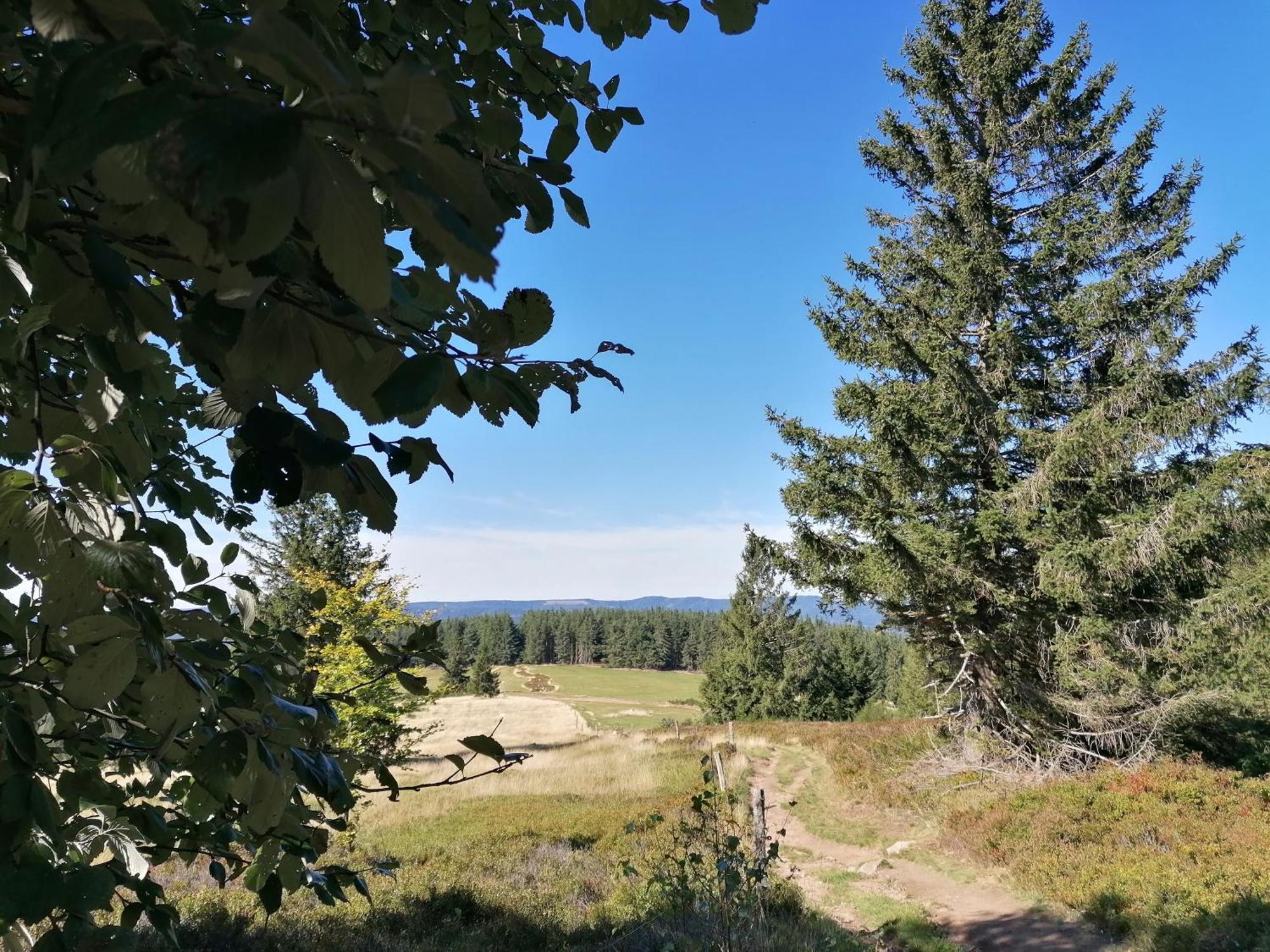 Kota Finlandais Dans La Vallee De La Bruche Proche De La Nature. *