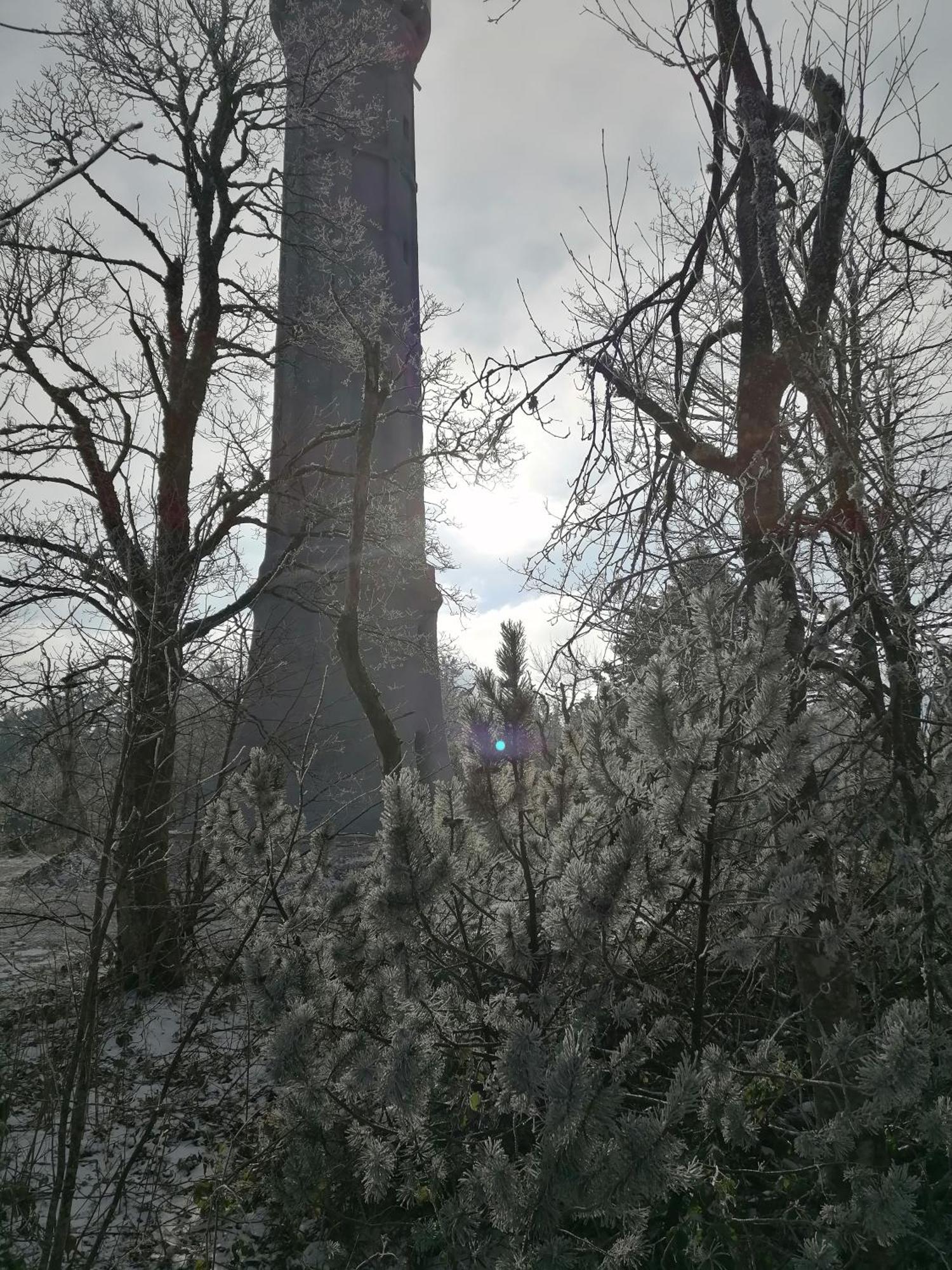 Kota Finlandais Dans La Vallee De La Bruche Proche De La Nature. * Plaine