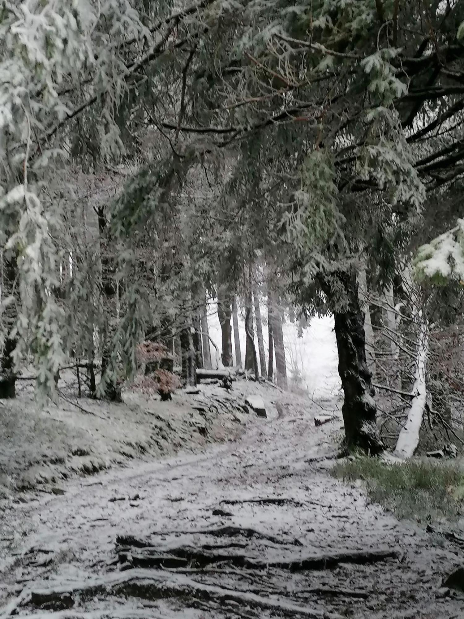 Kota Finlandais Dans La Vallee De La Bruche Proche De La Nature. Plaine